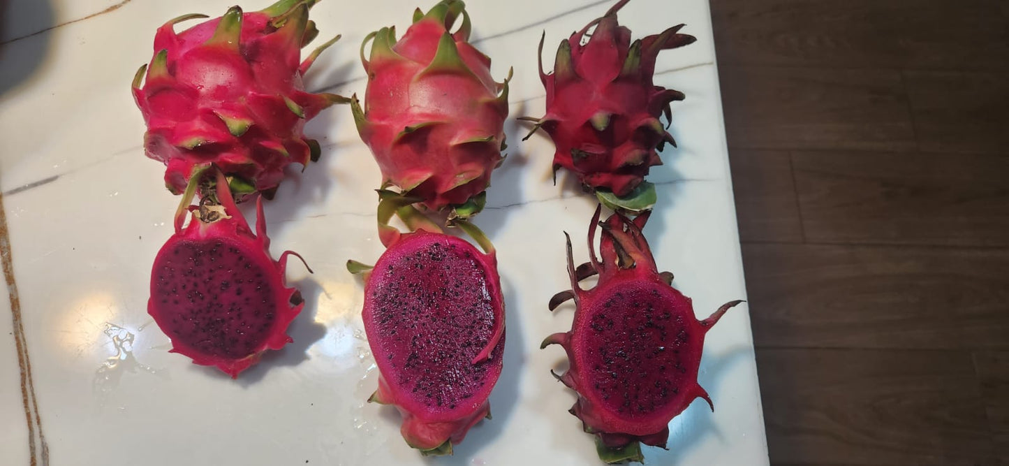 PITAHAYA RED 4.5KILOS