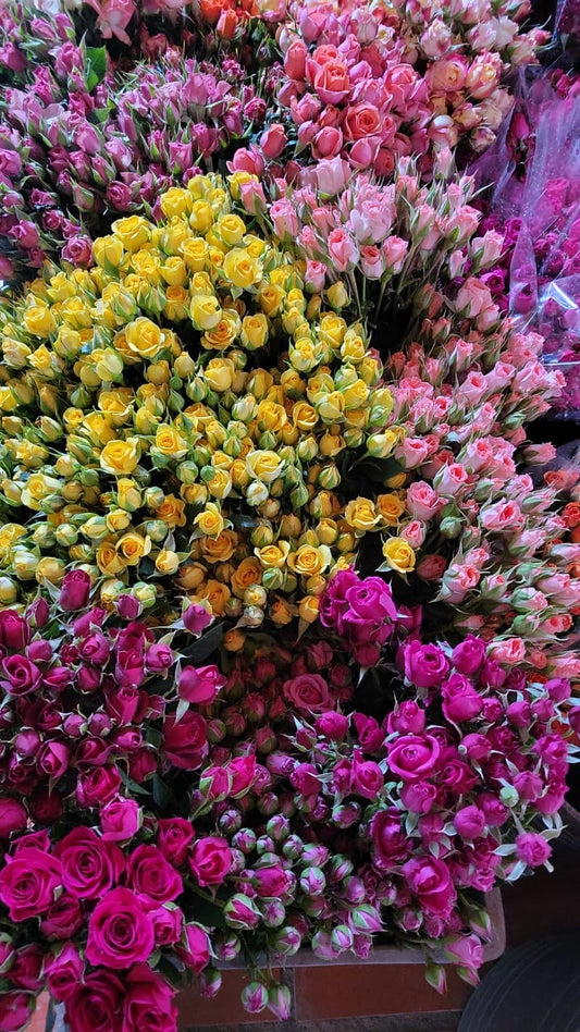 SPRAY ROSES SPR ASSORTED