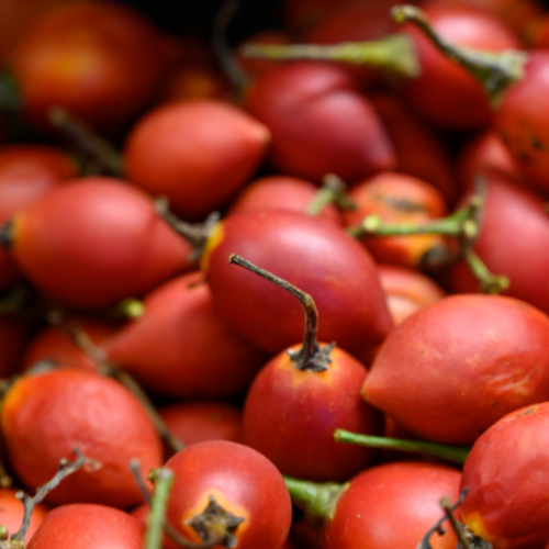 TOMATE DE ARBOL X CAJA 4.5KG