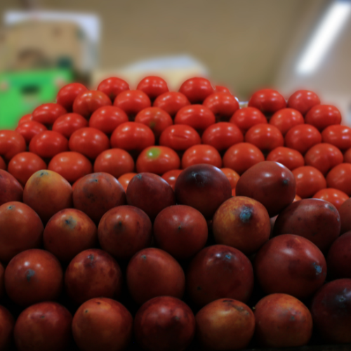 TOMATE DE ARBOL X CAJA 4.5KG