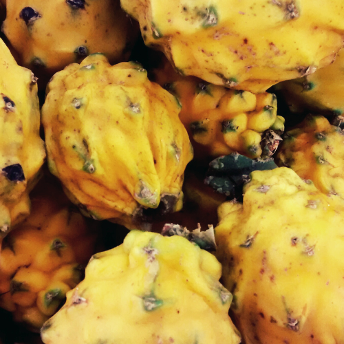 PITAHAYA AMARILLA X CAJA DE 2.5KG